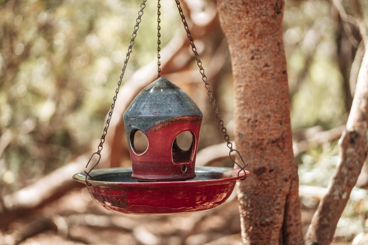 Bussells Bushland Cottages Margaret River Ngoại thất bức ảnh