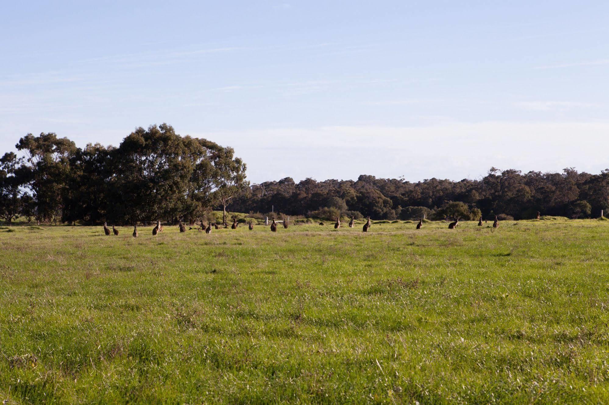 Bussells Bushland Cottages Margaret River Ngoại thất bức ảnh